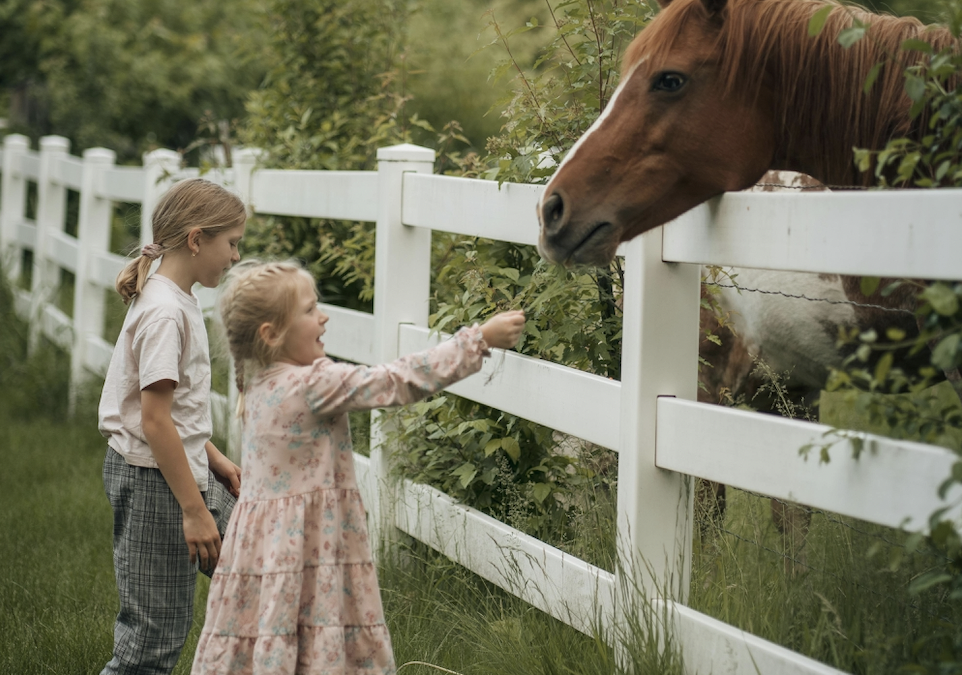 When To Upgrade Your Fence to Vinyl